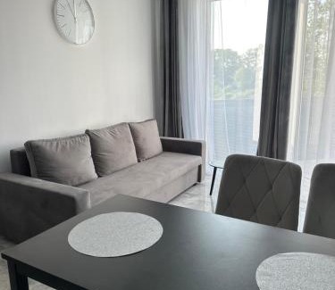 Gorzow Wielkopolski Apartment | Apartamenty Wiedeń 3