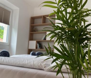 Duszniki Zdroj Apartment | Pet-Friendly Apartments at Zdrojoowa 9 - Rated 9.5/10
