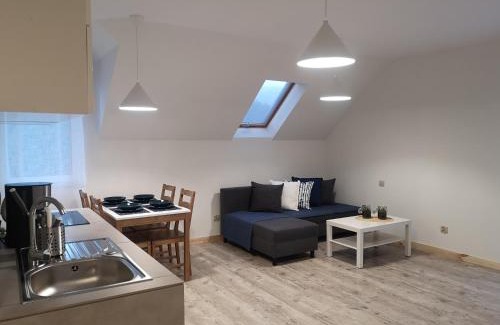 Zarnowica Apartment | Pet-Friendly Retreat at ApartDębki with High Guest Ratings