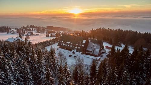 Benecko Hotel | Discover Hotel Žalý Apartmány: Pet-Friendly Bliss by the Sea