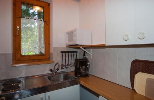 Kufstein Apartment | Discover Oceanfront Comfort at Aparthotel Buchauer-Tirol