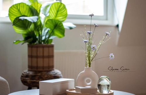 Alkmaar Apartment | Pet-Friendly ApartHotel De Koning with Ocean Views