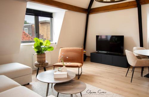Alkmaar Apartment | Pet-Friendly ApartHotel De Koning with Ocean Views