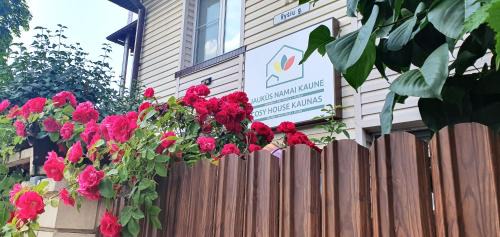 Kaunas Apartment | Cozy House Studio with Convenient Parking & High Ratings