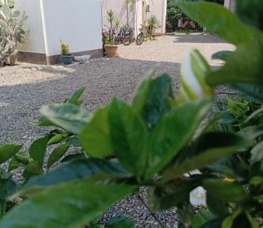 Gonio Apartment | Top-Rated Aparthotel Sofia with Oceanfront Views in Gonio