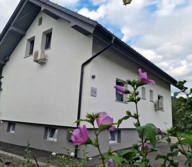 Zirovnica Apartment | Pet-Friendly Aparthouse Jana Breg with Oceanfront Views