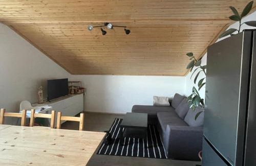 Horni Marsov Apartment | Apartmán Čížci Horní Maršov