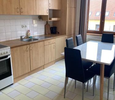 Ceske Budejovice Apartment | Pet-Friendly Retreat in the Heart of České Budějovice