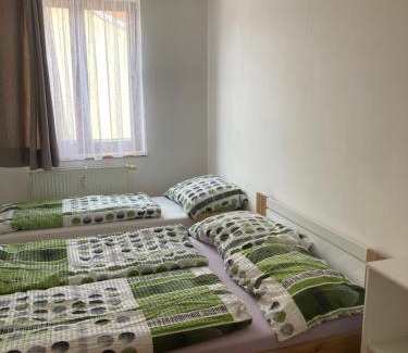 Ceske Budejovice Apartment | Pet-Friendly Retreat in the Heart of České Budějovice