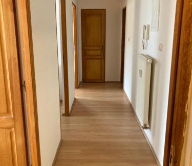 Ceske Budejovice Apartment | Pet-Friendly Retreat in the Heart of České Budějovice