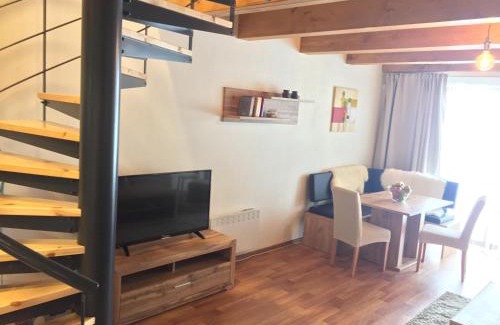 Ricky v Orlickych horach Apartment | Top-Rated Retreat at Apartmán Říčky 23 with Pool & Spa