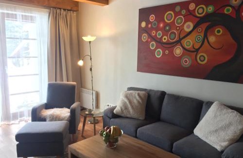 Ricky v Orlickych horach Apartment | Top-Rated Retreat at Apartmán Říčky 23 with Pool & Spa
