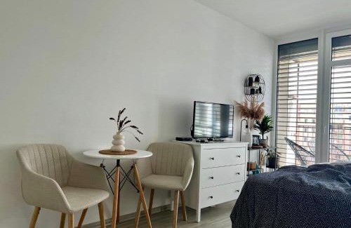 Olomouc Apartment | Discover Apartmán Šantovka: Family-Friendly & Pet Welcoming