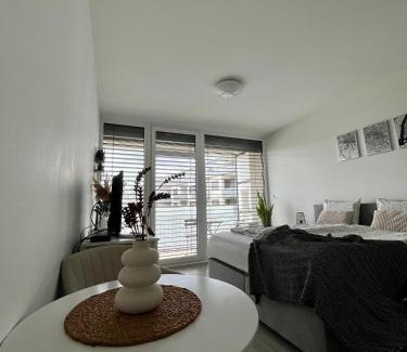 Olomouc Apartment | Discover Apartmán Šantovka: Family-Friendly & Pet Welcoming