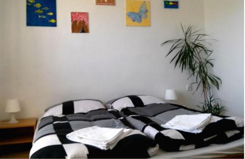 Zdar Nad Sazavou Apartment | Family-Friendly Apartmán Žďár with High Guest Ratings