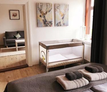 Jihlava Apartment | Cozy 2KK Apartment with Sauna & Aromatherapy Retreat