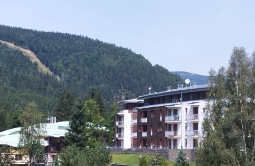 Spindleruv Mlyn Apartment | Apartmán 3K Michael