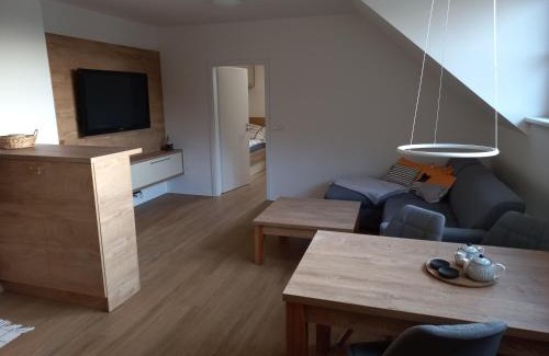 Velke Karlovice Apartment | Guest Rated 10/10: AČKO Apartment in Velké Karlovice