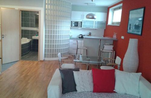 Luhacovice Apartment | Pet-Friendly Apartmán Anežka with Excellent Guest Rating