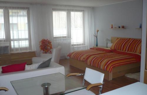 Luhacovice Apartment | Pet-Friendly Apartmán Anežka with Excellent Guest Rating