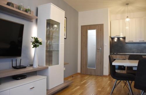 Cerny Dul Apartment | Family-Friendly Apartmán Bára - Guest Rated 9.9/10