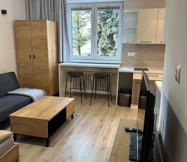 Banska Bystrica Apartment | Cozy Aparmán BB-Centrum2: Pet-Friendly Family Retreat