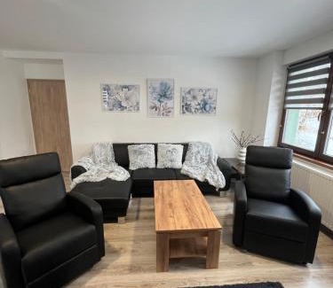 Velke Karlovice Apartment | Apartmán Borák
