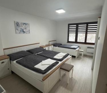 Velke Karlovice Apartment | Apartmán Borák