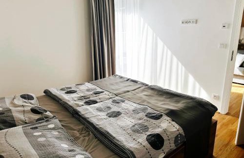 Vrchlabi Apartment | Apartmán Borůvka u vleku Bubákov Herlíkovice