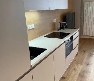 Zelezna Ruda Apartment | Unforgettable Stay at Apartmán Brčálník Šumavské Stráně