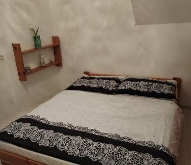 Strasice Apartment | Pet-Friendly Retreat at Apartmán Brdy - Family Friendly Stay