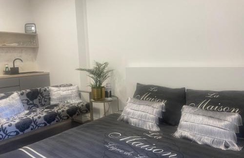 Olomouc Apartment | Apartmán Bristol Olomouc