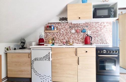 Cesky Krumlov Apartment | Elegant Castle View Apartment with 9.1/10 Guest Rating