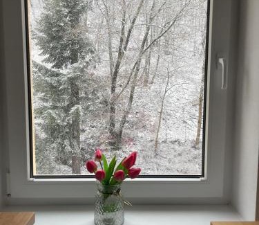 Jachymov Apartment | Pet-Friendly Apartmán Claudia Jáchymov with Pool & Spa