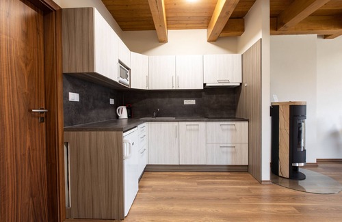Ricky v Orlickych horach Apartment | Pet-Friendly Retreat at Apartmány Říčky with Spa & Pool