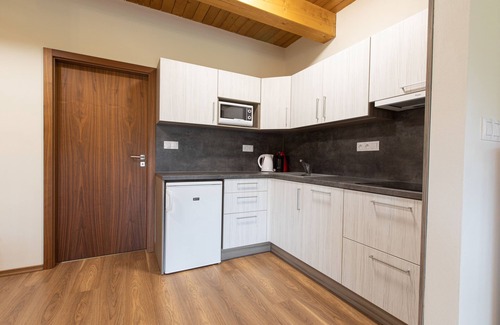 Ricky v Orlickych horach Apartment | Pet-Friendly Retreat at Apartmány Říčky with Spa & Pool