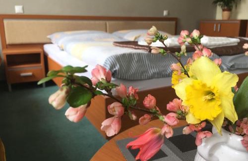 Piestany Apartment | Discover Apartmán Darmon: Pet-Friendly with Spa & Hot Tub