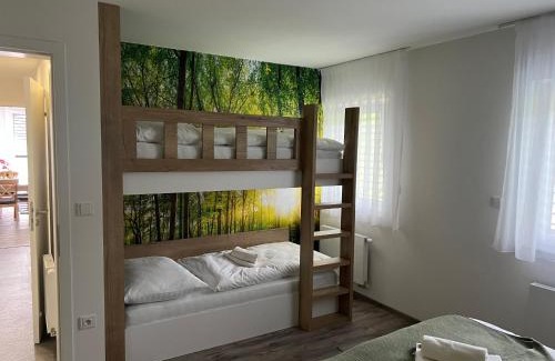 Dolni Morava Apartment | Family-Friendly Apartment "Sedmička" in Dolní Morava