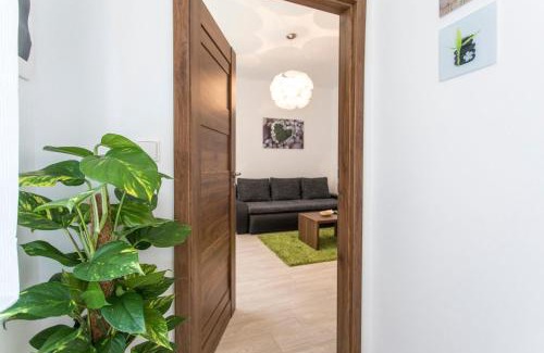 Olomouc Apartment | Pet-Friendly Apartmán Dolní náměstí with High Guest Ratings
