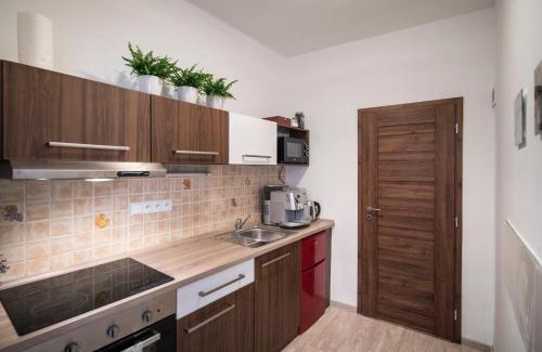 Olomouc Apartment | Pet-Friendly Apartmán Dolní náměstí with High Guest Ratings