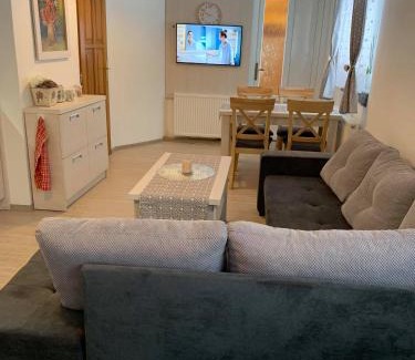 Bela pod Pradedem Apartment | Family-Friendly Apartment Filipovice with Summer Terrace