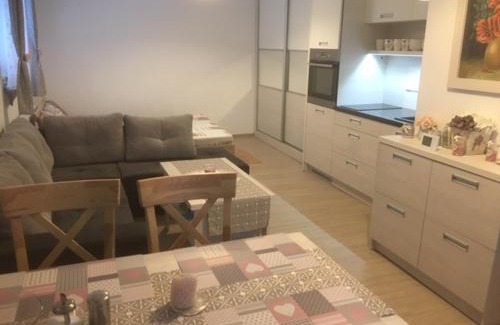 Bela pod Pradedem Apartment | Family-Friendly Apartment Filipovice with Summer Terrace