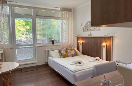 Luhacovice Apartment | Apartmán Fontána