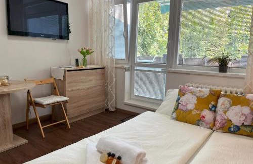 Luhacovice Apartment | Apartmán Fontána