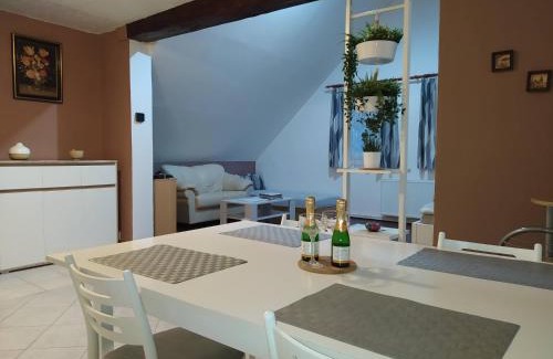 Ceska Kamenice Apartment | Wheelchair Accessible Retreat at Apartmán Frank - 9/10 Rated