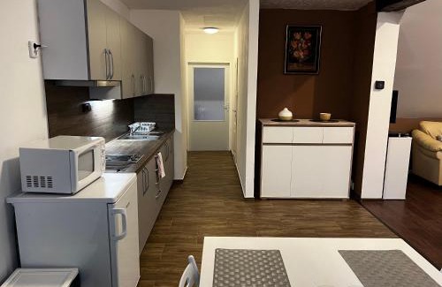 Ceska Kamenice Apartment | Wheelchair Accessible Retreat at Apartmán Frank - 9/10 Rated