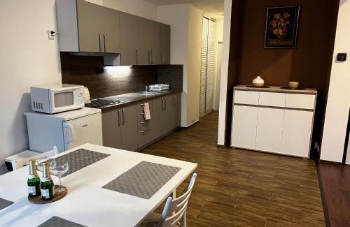 Ceska Kamenice Apartment | Wheelchair Accessible Retreat at Apartmán Frank - 9/10 Rated