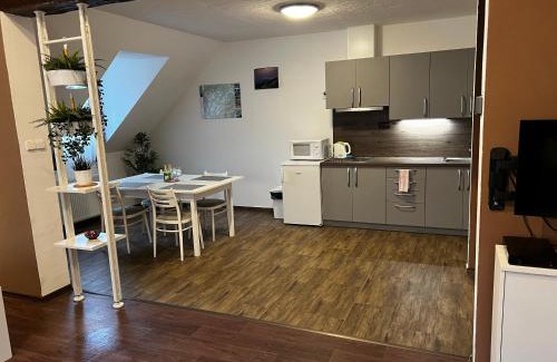 Ceska Kamenice Apartment | Wheelchair Accessible Retreat at Apartmán Frank - 9/10 Rated