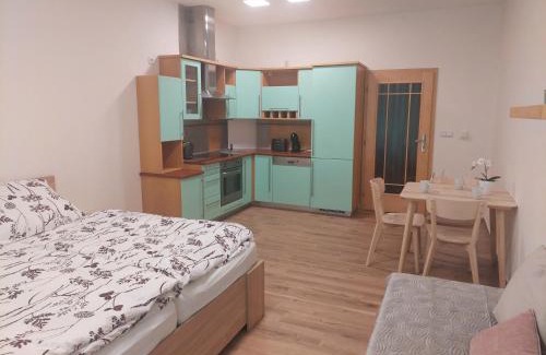 Podebrady Apartment | Apartmán IRIS Poděbrady