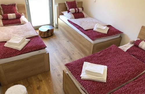 Janske Lazne Apartment | Elegant Apartmán Jestřáb č.15 with Spa and Hot Tub